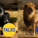 Imagen para el artículo titulado 124 imágenes virales de 2015 que son completamente falsas